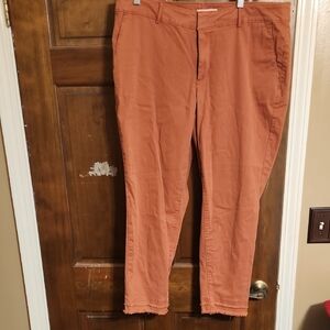 LOFT Womens Terracotta Pants